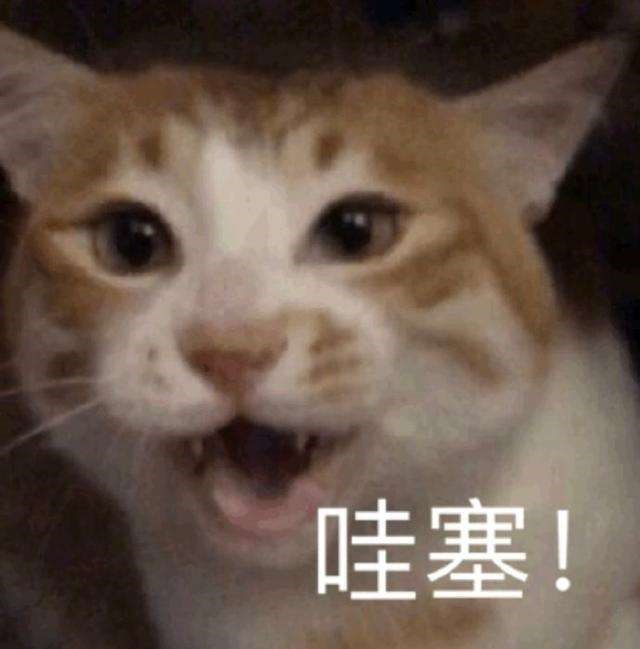 macd选股公式首度详FB体育 FB体育平台解！老玩家苦心研究的分享跟上吃肉！(图1)