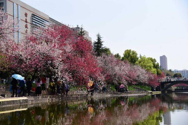FB体育 FB体育平台三峡大学科技学院什么专业好？能进国家电网的铁饭碗！(图2)