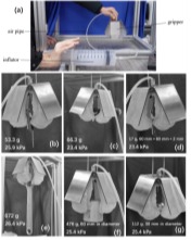 西安交大未来技术学院本科生大一研究成果在Applied System Innovation发表FB体育 FB体育平台(图1)