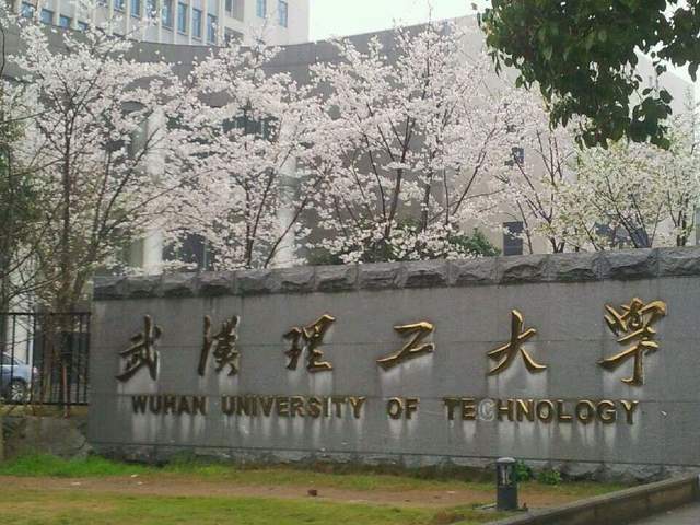 湖北省大学2024年排行榜：华中科大夺第1武汉理FB体育 FB体育平台工大学稳居第3(图4)