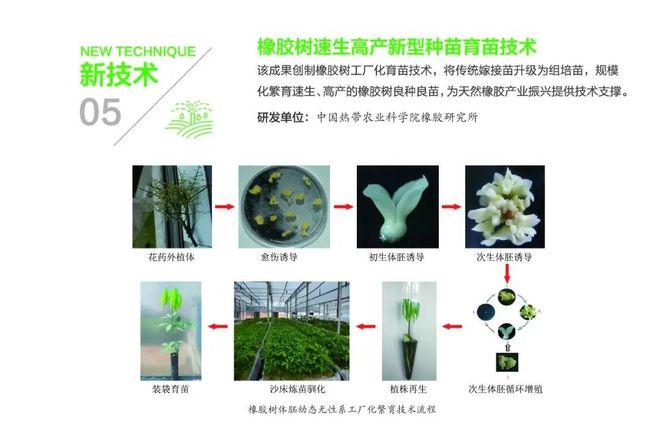 FB体育 FB体育平台中国热科院发布十大转化技术成果和十大科技品牌产品(图2)