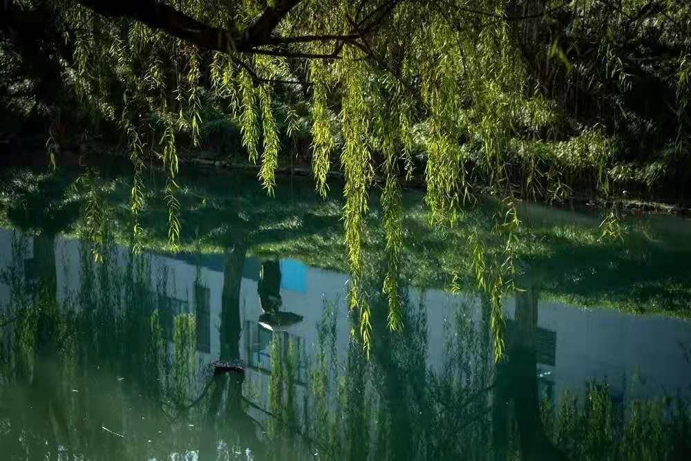 FB体育 FB体育平台求证：电子科技大学就业怎么样？国家特设专业就业无忧(图2)