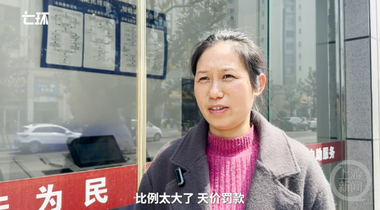 FB体育 FB体育平台5起“小过重罚”事件背后：争议中的机械执法、多部门强力纠偏(图1)