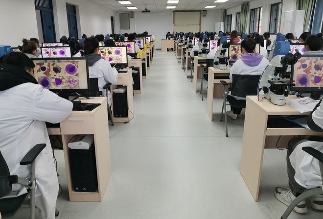 FB体育 FB体育平台不考研也好就业的8个专业本科毕业竞争力很强发展前景也不错(图3)
