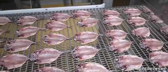 大型水产鱼类深加工机械生产鱼头FB体育 FB体育平台鱼片鱼丸自动化设备(图5)