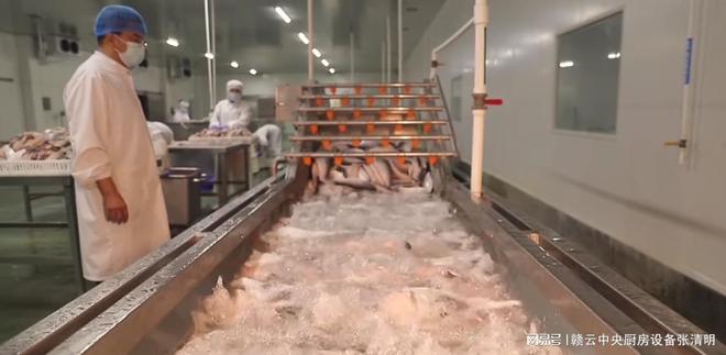 大型水产鱼类深加工机械生产鱼头FB体育 FB体育平台鱼片鱼丸自动化设备(图6)
