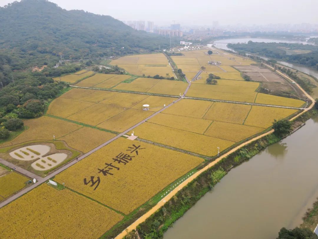 FB体育 FB体育平台南粤大地涌新潮(图1)