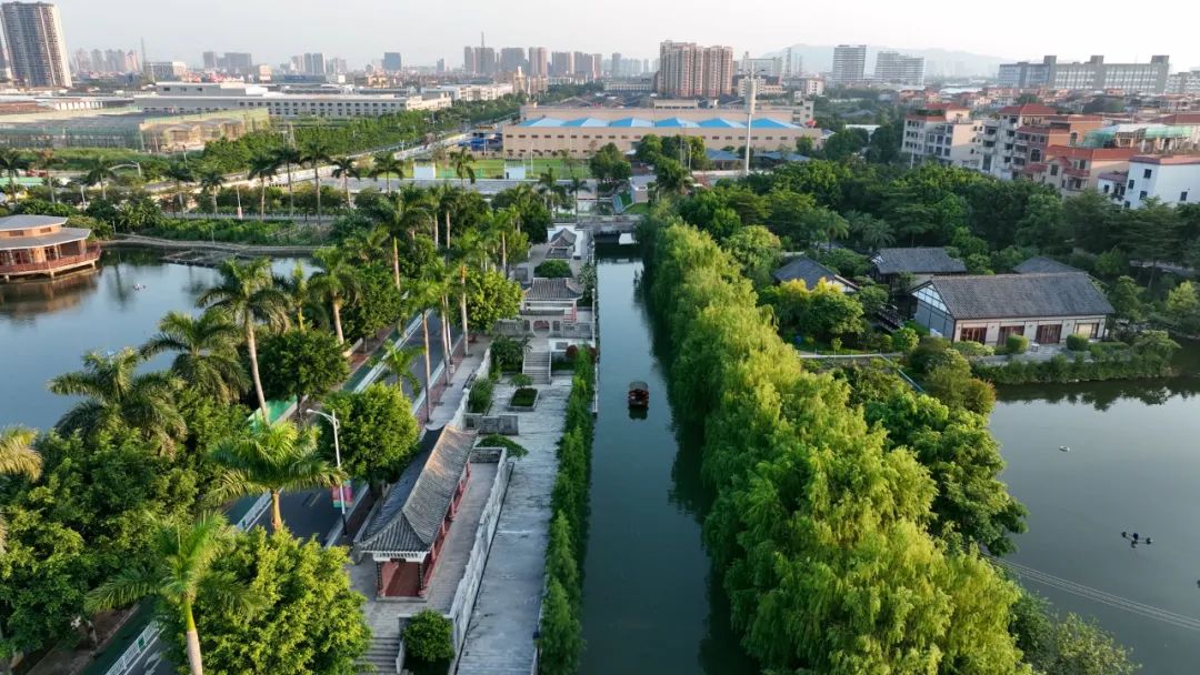 FB体育 FB体育平台南粤大地涌新潮(图7)