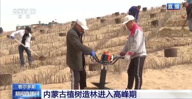 FB体育 FB体育平台风沙肆虐难钻孔 他们在沙漠植树治沙靠啥“黑科技”？(图8)