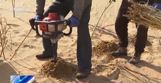 FB体育 FB体育平台风沙肆虐难钻孔 他们在沙漠植树治沙靠啥“黑科技”？(图5)