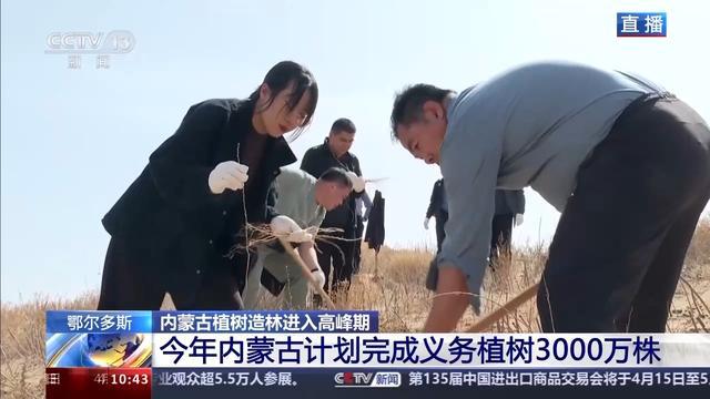 FB体育 FB体育平台风沙肆虐难钻孔 他们在沙漠植树治沙靠啥“黑科技”？(图12)