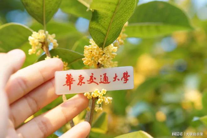 华FB体育 FB体育平台东交通大学怎么样？这个“名人学院”国企热招！(图3)