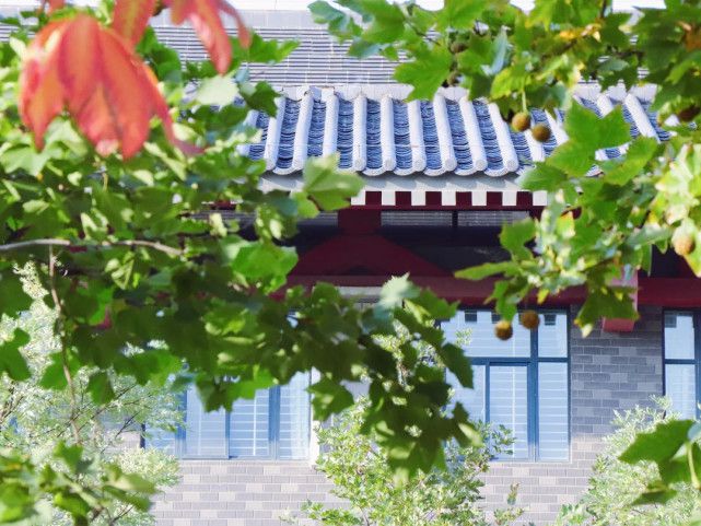 FB体育 FB体育平台西安建筑科技大学王牌专业它飞入繁空、潜至深海(图3)