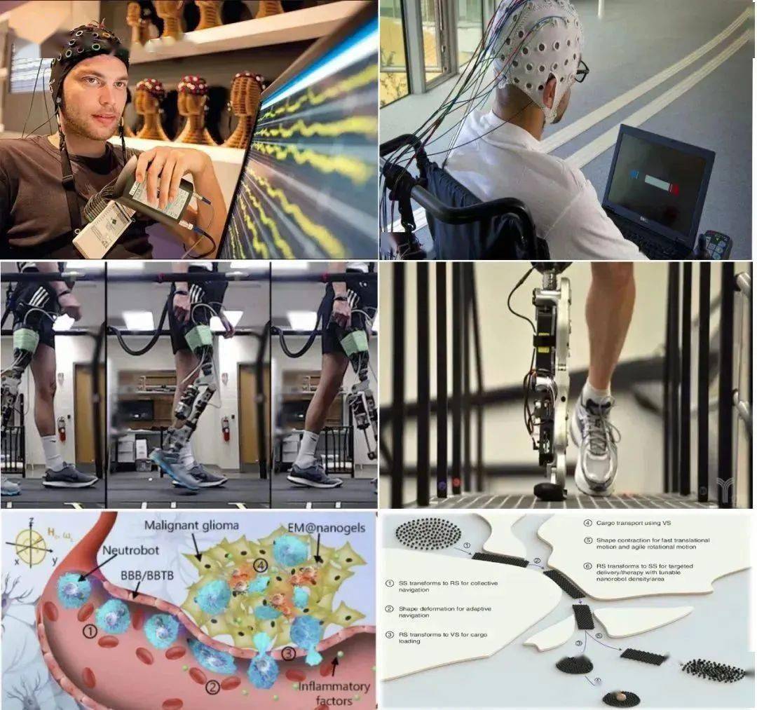 FB体育 FB体育平台2023-2024年机器人十大前沿技术发布谁将颠覆未知的世界？I 创业锦囊(图2)