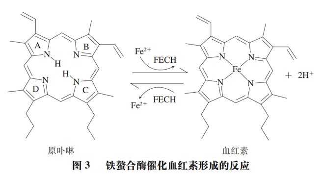 《食品科学》：东北农业大学孔保华教授等：锌原卟啉形成和呈色机理及替代肉制品中亚硝酸盐的研究进展FB体育 FB体育平台(图6)
