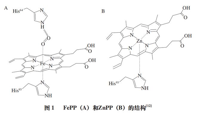 《食品科学》：东北农业大学孔保华教授等：锌原卟啉形成和呈色机理及替代肉制品中亚硝酸盐的研究进展FB体育 FB体育平台(图2)