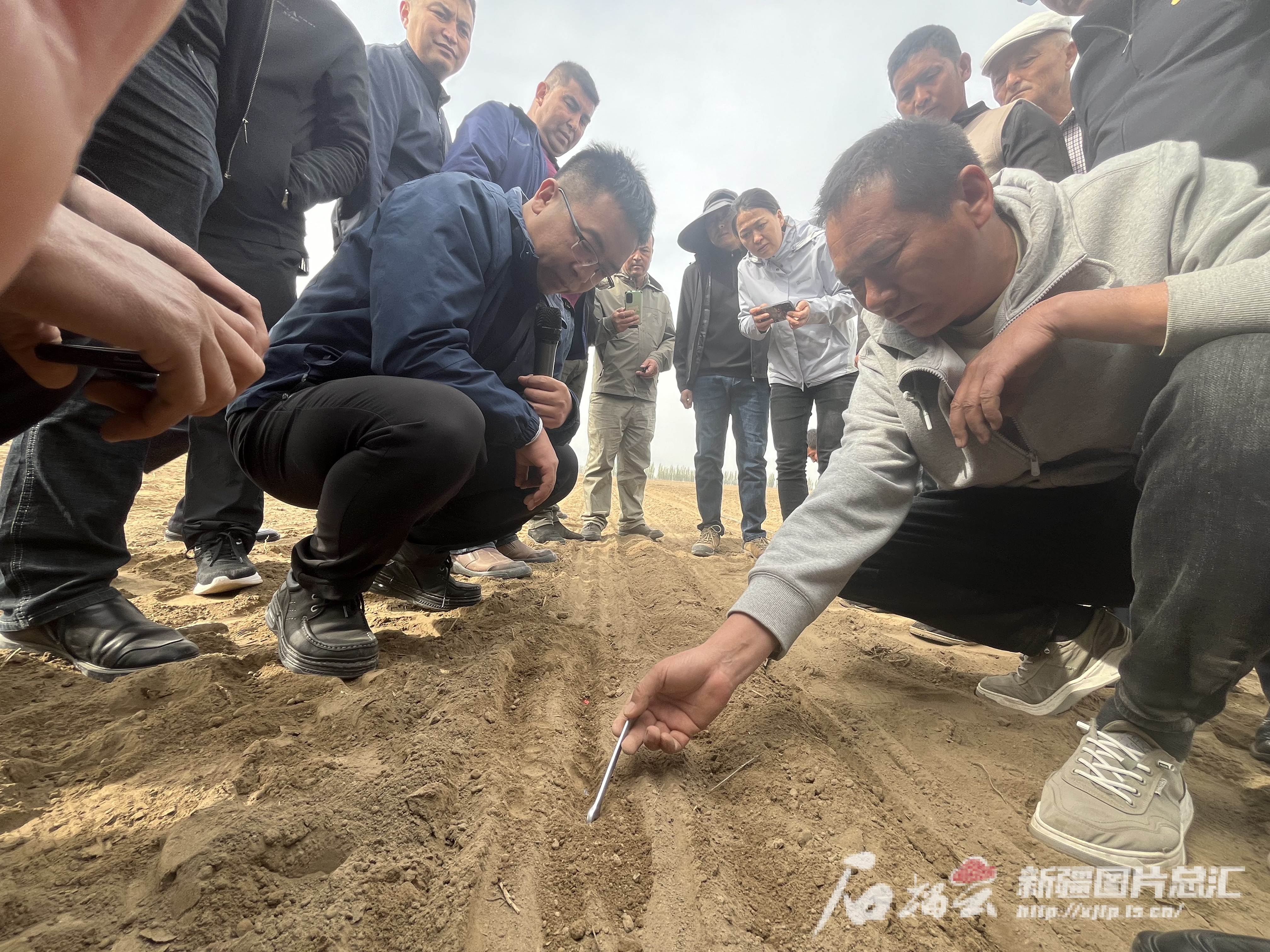 FB体育 FB体育平台科技增产有信心——伊犁产粮大县田间见闻(图3)